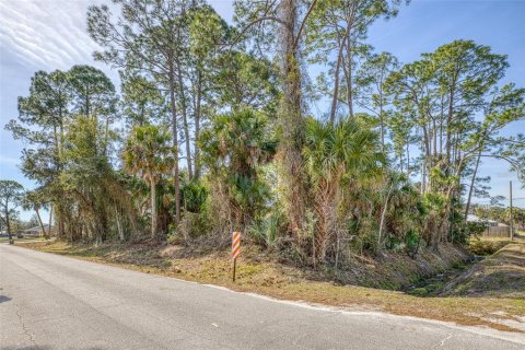 Land in Edgewater, Florida № 2217635 - photo 4