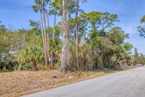 Land in Edgewater, Florida № 2217635 - photo 5