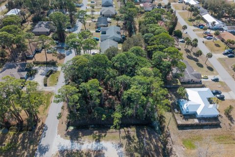 Land in Edgewater, Florida № 2217635 - photo 7