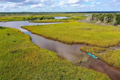 Land in Palm Coast, Florida № 1778538 - photo 18
