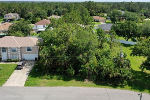 Land in Palm Coast, Florida № 1778538 - photo 4