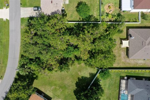 Land in Palm Coast, Florida № 1778538 - photo 3