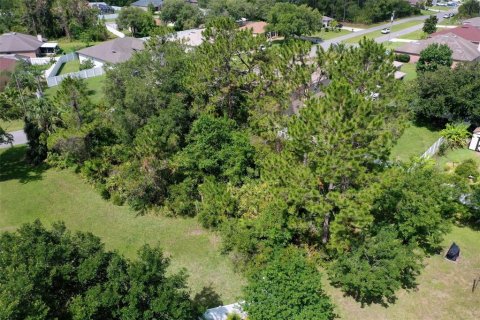 Land in Palm Coast, Florida № 1778538 - photo 5