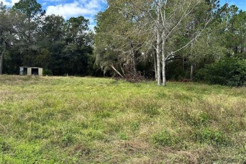 Terreno en venta en DeLand, Florida № 1751179 - foto 1