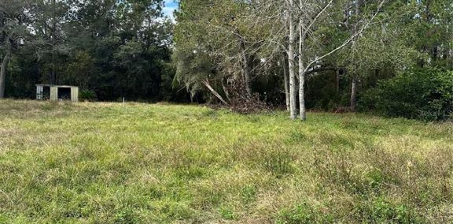 Terreno en DeLand, Florida № 1751179