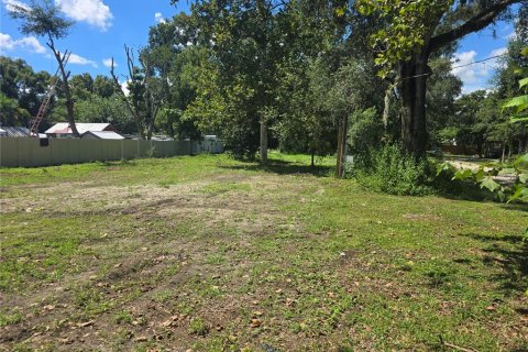 Land in Plant City, Florida № 2123503 - photo 4