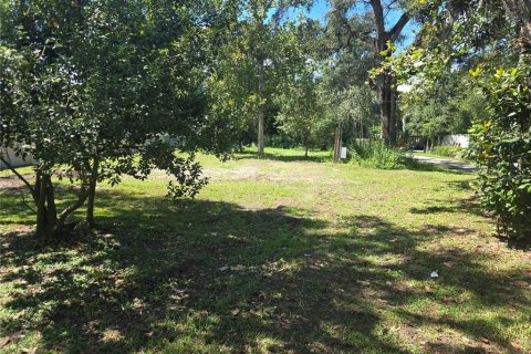 Land in Plant City, Florida № 2123503 - photo 3
