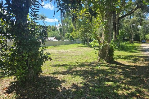 Land in Plant City, Florida № 2123503