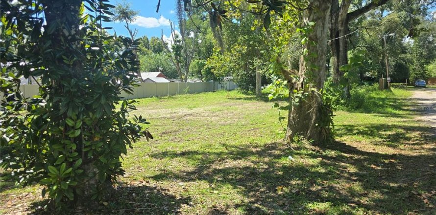 Land in Plant City, Florida № 2123503