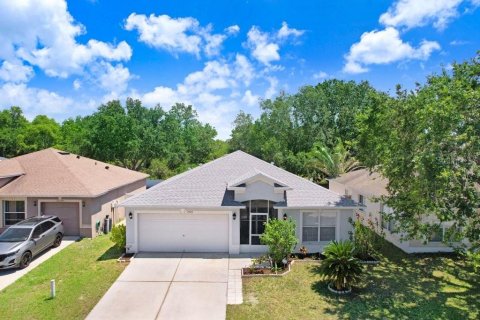 Villa ou maison à vendre à Riverview, Floride: 3 chambres, 132.85 m2 № 1719703 - photo 2