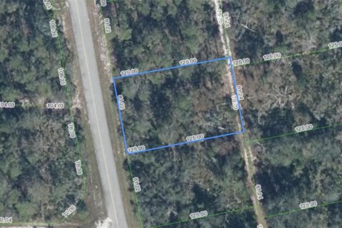 Land in Sebring, Florida № 2159461 - photo 2
