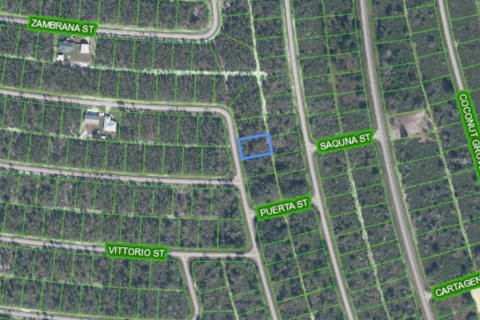 Land in Sebring, Florida № 2159461 - photo 3