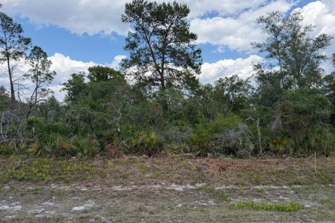 Terreno en Sebring, Florida № 2159461