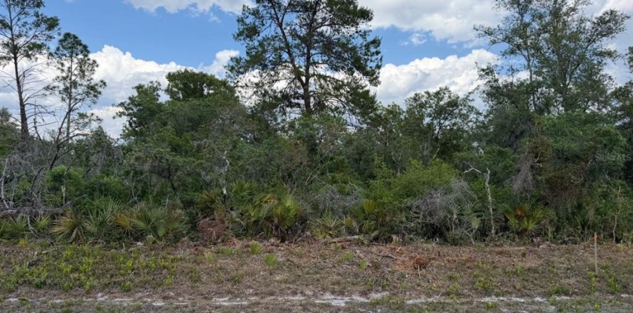 Land in Sebring, Florida № 2159461