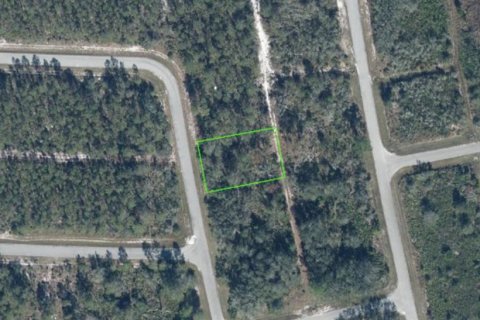 Land in Sebring, Florida № 2159461 - photo 4