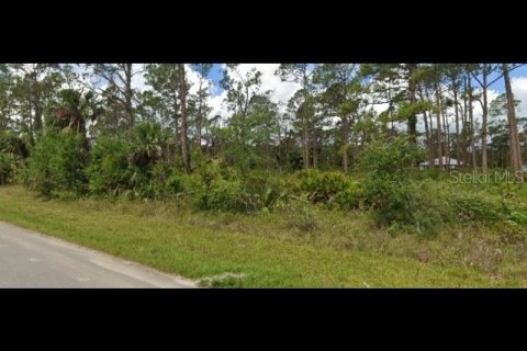 Land in Port Charlotte, Florida № 2161073 - photo 3