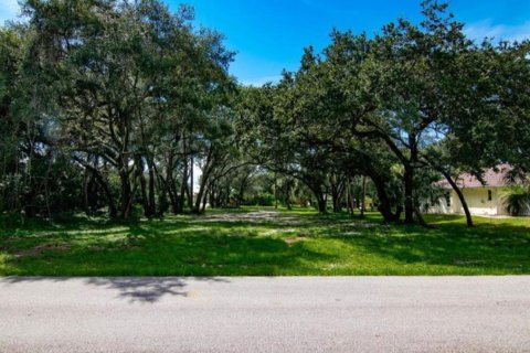 Terreno en venta en Port Charlotte, Florida № 1798467 - foto 1