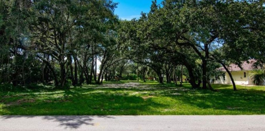 Terreno en Port Charlotte, Florida № 1798467