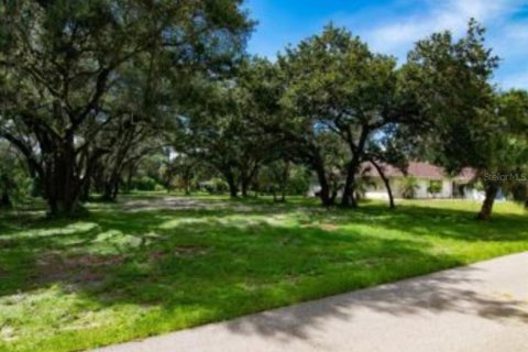 Terreno en venta en Port Charlotte, Florida № 1798467 - foto 6