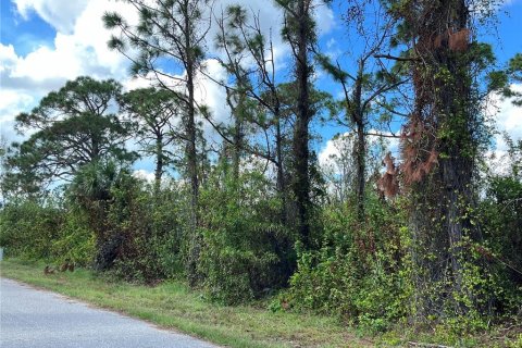 Terreno en venta en Port Charlotte, Florida № 2159517 - foto 3