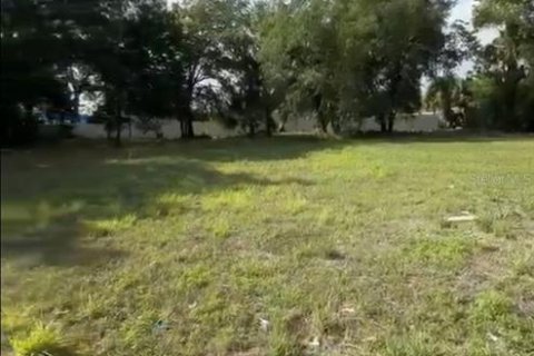 Land in Orlando, Florida № 2214091
