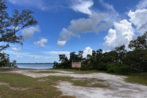 Land in Bradenton, Florida № 1866856 - photo 4