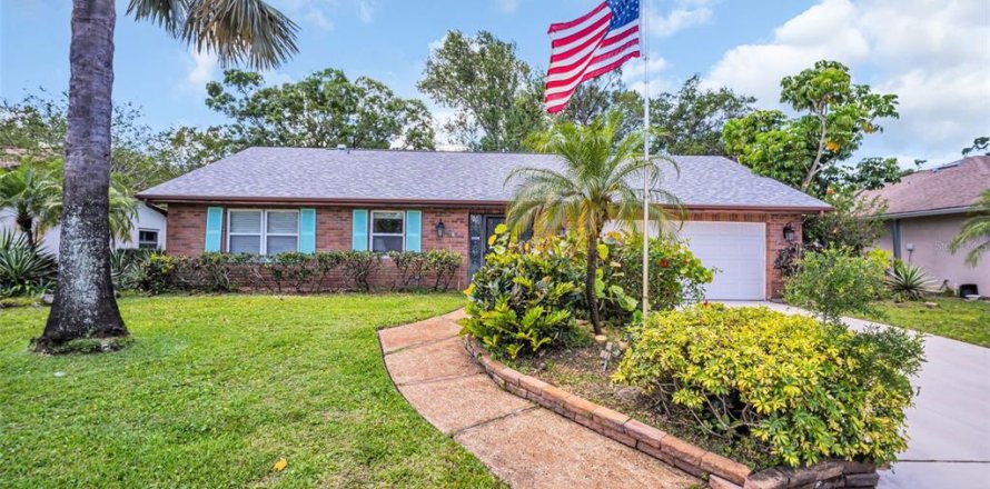 House in Palm Harbor, Florida 2 bedrooms, 143.81 sq.m. № 1751437