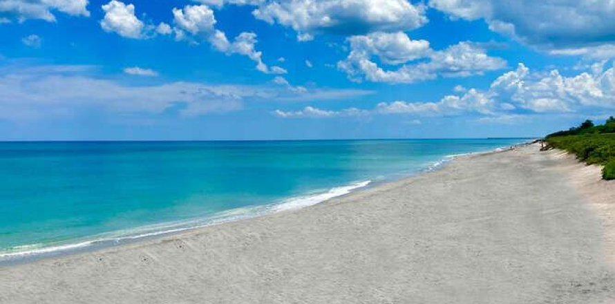 Condo in Jupiter, Florida, 1 bedroom  № 693242