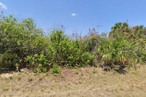 Land in Port Charlotte, Florida № 2165781