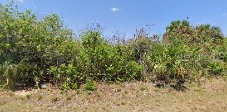 Land in Port Charlotte, Florida № 2165781