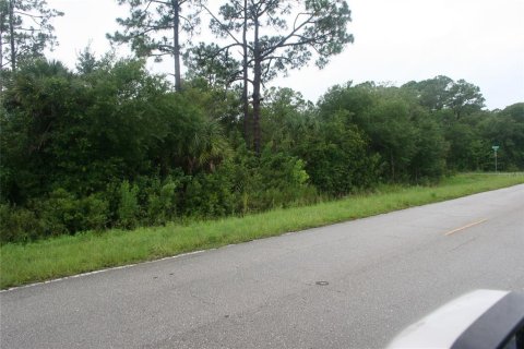 Land in Port Charlotte, Florida № 2228688 - photo 2