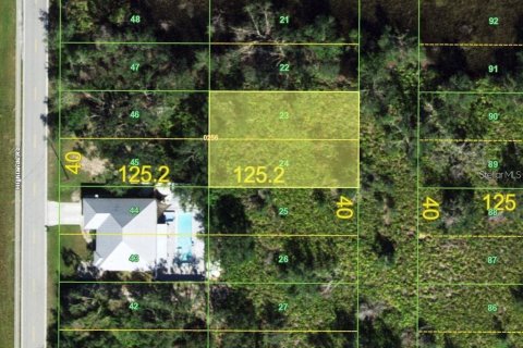 Land in Punta Gorda, Florida № 2228711 - photo 2
