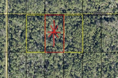 Land in Hastings, Florida № 2360431
