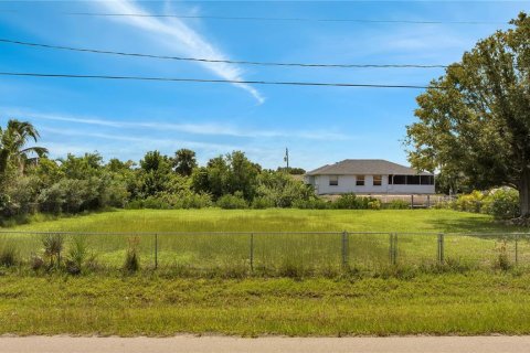 Land in Punta Gorda, Florida № 792367 - photo 4
