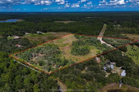Land in Ocklawaha, Florida № 2364857