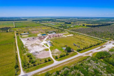 Immobilier commercial à vendre à St. Lucie, Floride № 2245226 - photo 4