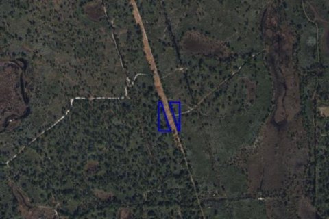 Land in Palm Bay, Florida № 2163452 - photo 5