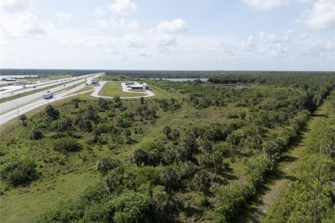 Terrain à vendre à Punta Gorda, Floride № 1799975 - photo 6