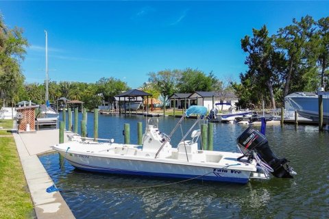 House in Crystal River, Florida 3 bedrooms, 246.75 sq.m. № 2098740 - photo 3