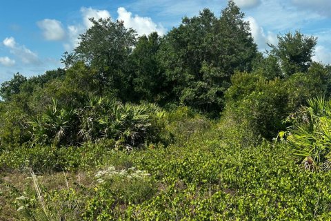 Commercial property in Okeechobee, Florida № 2158522 - photo 6