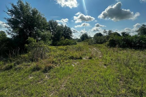 Commercial property in Okeechobee, Florida № 2158522 - photo 9