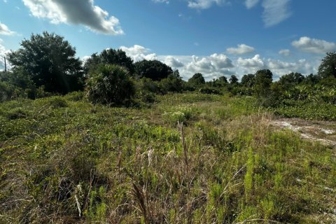 Commercial property in Okeechobee, Florida № 2158522 - photo 4