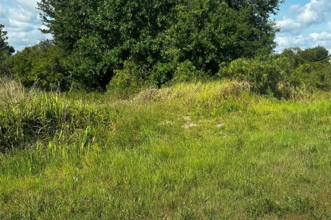 Propiedad comercial en Okeechobee, Florida № 2158522