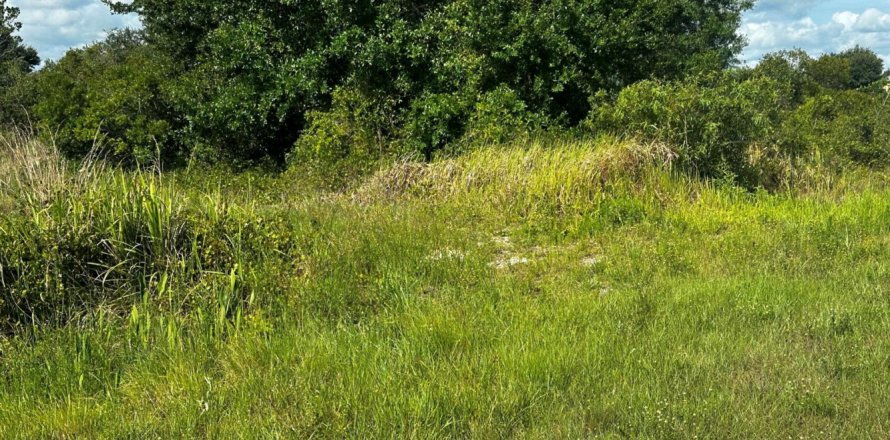 Commercial property in Okeechobee, Florida № 2158522