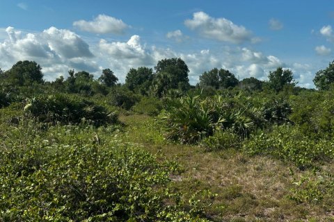 Commercial property in Okeechobee, Florida № 2158522 - photo 5