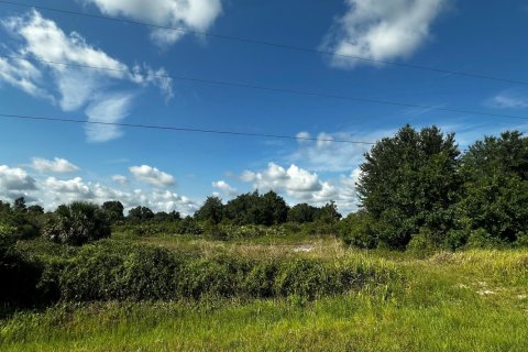 Commercial property in Okeechobee, Florida № 2158522 - photo 2