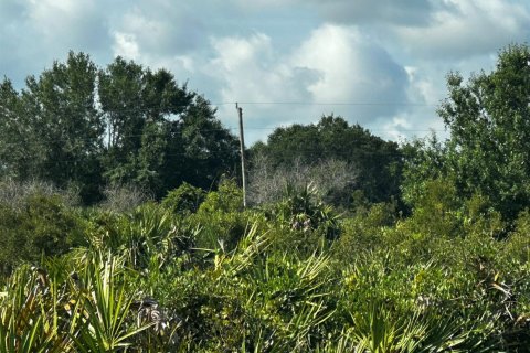 Commercial property in Okeechobee, Florida № 2158522 - photo 7