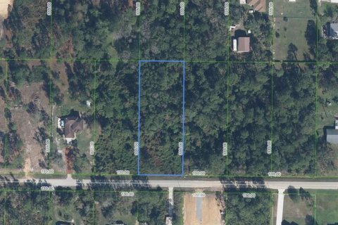 Land in Sebring, Florida № 2108901 - photo 2