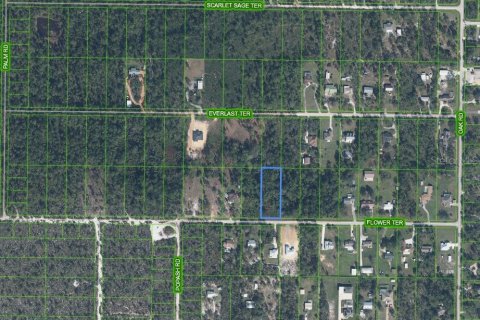Terrain à Sebring, Floride № 2108901