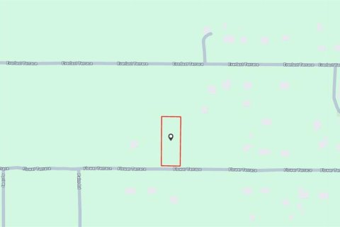 Land in Sebring, Florida № 2108901 - photo 6